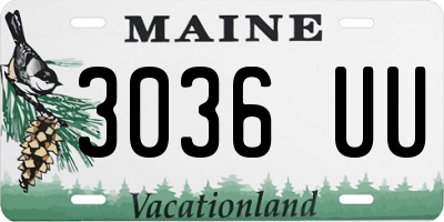 ME license plate 3036UU