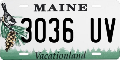 ME license plate 3036UV