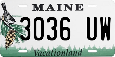 ME license plate 3036UW