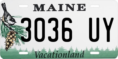 ME license plate 3036UY