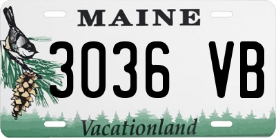 ME license plate 3036VB