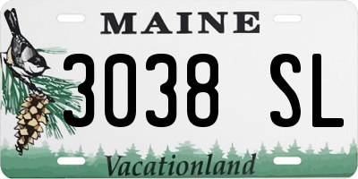 ME license plate 3038SL