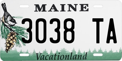ME license plate 3038TA