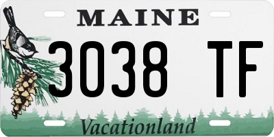 ME license plate 3038TF