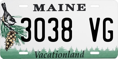 ME license plate 3038VG