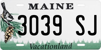 ME license plate 3039SJ