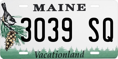 ME license plate 3039SQ