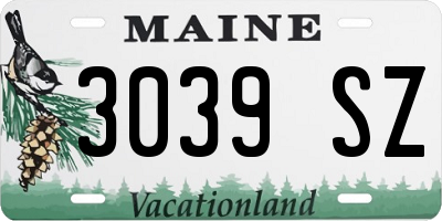 ME license plate 3039SZ