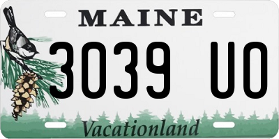 ME license plate 3039UO