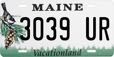 ME license plate 3039UR