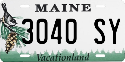 ME license plate 3040SY