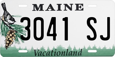 ME license plate 3041SJ