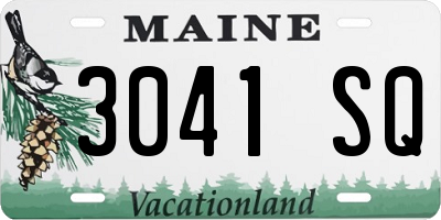 ME license plate 3041SQ