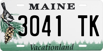 ME license plate 3041TK