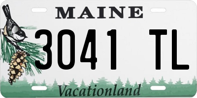 ME license plate 3041TL