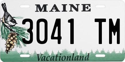 ME license plate 3041TM