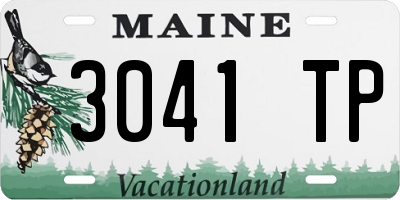 ME license plate 3041TP