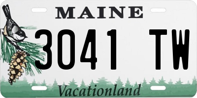 ME license plate 3041TW