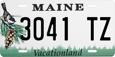 ME license plate 3041TZ