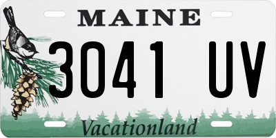 ME license plate 3041UV