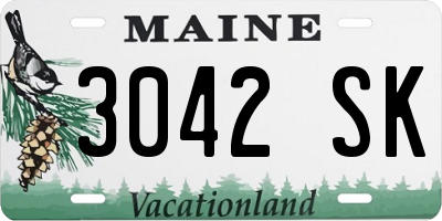ME license plate 3042SK