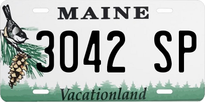 ME license plate 3042SP
