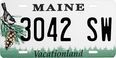ME license plate 3042SW