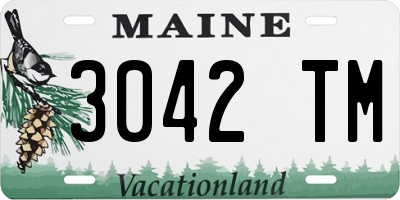 ME license plate 3042TM