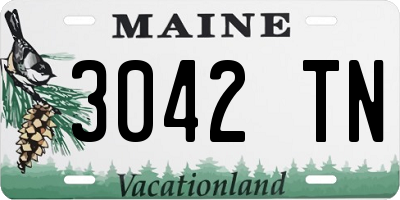 ME license plate 3042TN