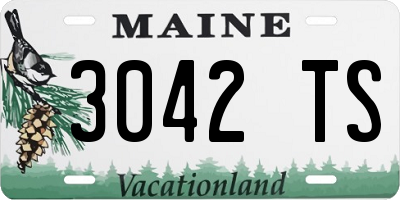 ME license plate 3042TS