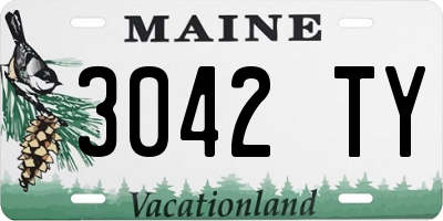 ME license plate 3042TY