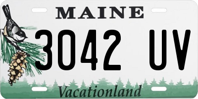 ME license plate 3042UV