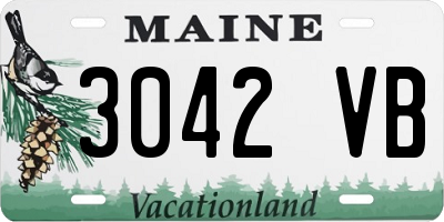 ME license plate 3042VB