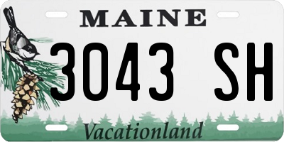 ME license plate 3043SH