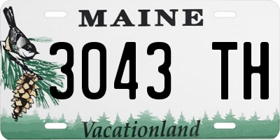 ME license plate 3043TH