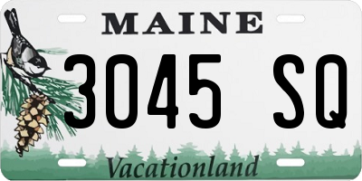 ME license plate 3045SQ