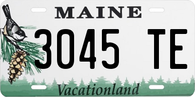 ME license plate 3045TE