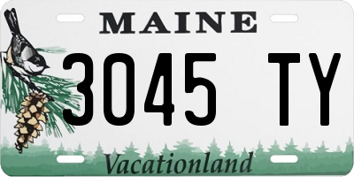 ME license plate 3045TY