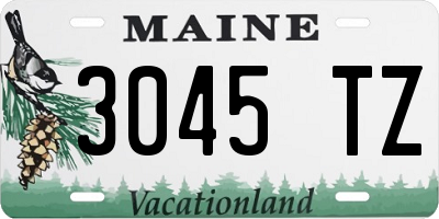 ME license plate 3045TZ