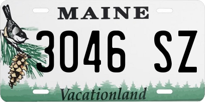 ME license plate 3046SZ