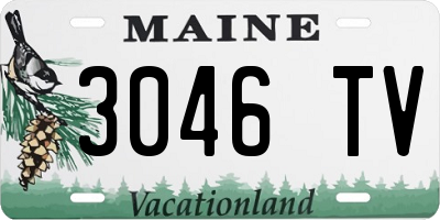 ME license plate 3046TV