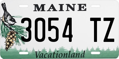 ME license plate 3054TZ