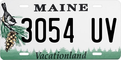 ME license plate 3054UV