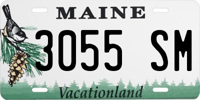 ME license plate 3055SM