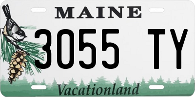 ME license plate 3055TY