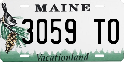 ME license plate 3059TO