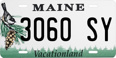 ME license plate 3060SY