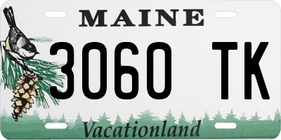 ME license plate 3060TK
