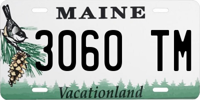 ME license plate 3060TM