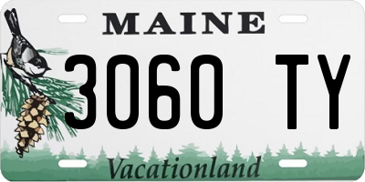 ME license plate 3060TY